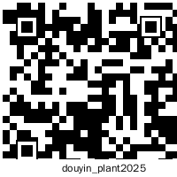 高清动漫商务二维码